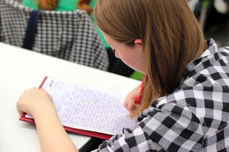 essay writing help