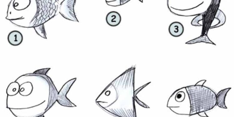 draw a fish