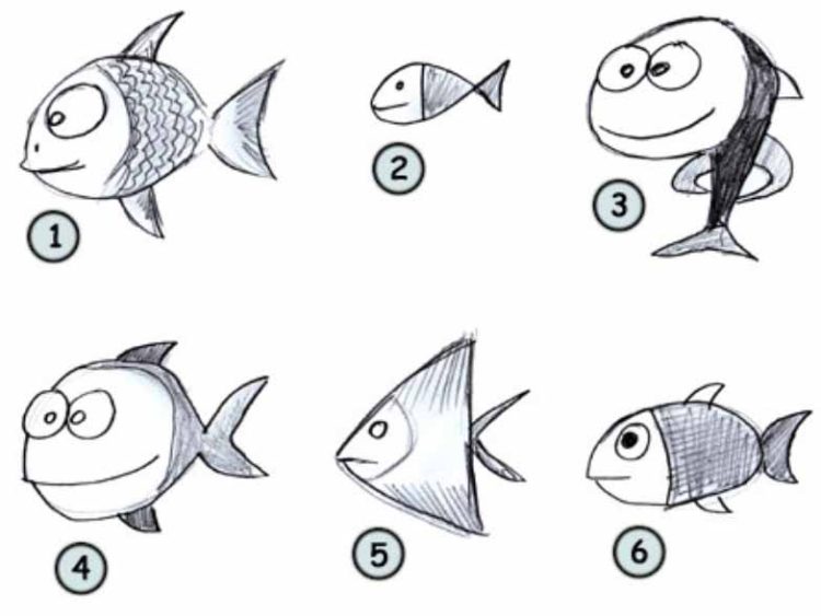 draw a fish