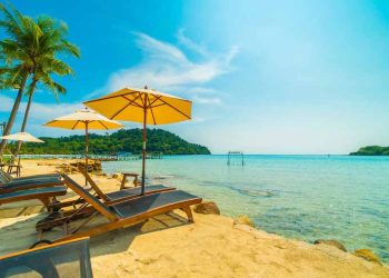travel insurance