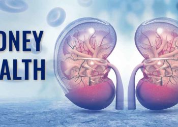 Kidney Health