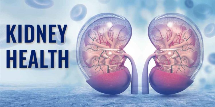Kidney Health