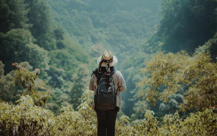 ultimate guide for travel freaks